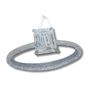 Ring Door Hanger